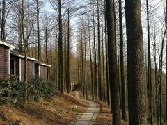 -莫干山风景区