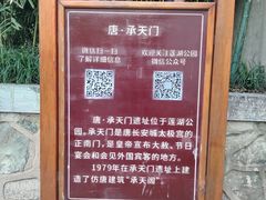-莲湖公园