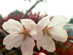-赭山公园