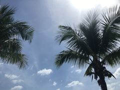 -越海渔村