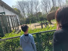 -合肥野生动物园