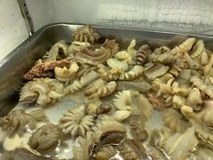 -金鼎雪山牦牛杂火锅(理县总店)