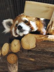 -Zoolung Zoolung动物主题公园(海信广场店)