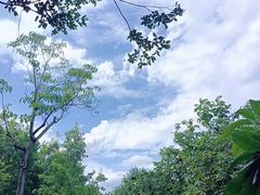 -厦门园林博览苑