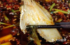 Cold Pot Catfish