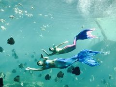 -瑞德姆美人鱼海底演艺主题餐厅(亚龙湾店)