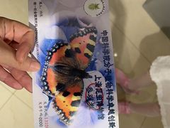 -上海昆虫博物馆