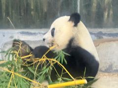 -海南热带野生动植物园