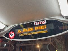 -Big Bus Tours 敞篷观光巴士