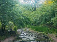 -白水寺森林公园