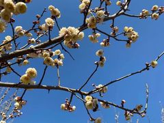 -蜀冈西峰生态公园