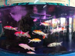 -泉州海丝野生动物世界