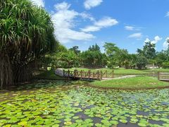 -中国科学院西双版纳热带植物园