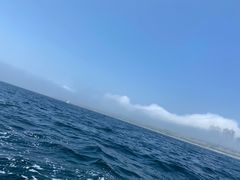 -拓恩帆船俱乐部