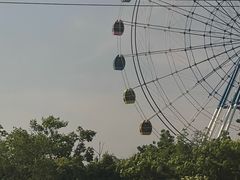 -上海佘山国家森林公园天马山园