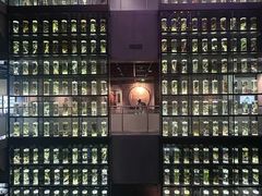 -广东中医药博物馆