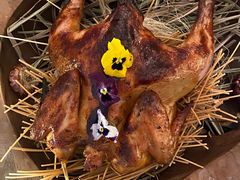 -Hi City·城市之巅