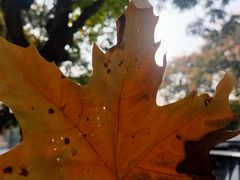 -汉长安城未央宫国家考古遗址公园