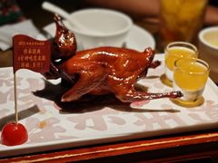 红烧鸽-大鸽饭(岗顶店)