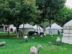 -九十九顶毡房(阜石路店)