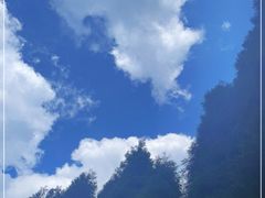 -武陵山森林公园