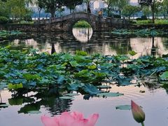 -无锡蠡湖国家湿地公园-蠡园