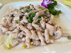 -八景休閒山莊  廣東十大名山莊