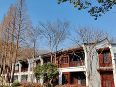 -杭州雅谷泉山庄酒店-餐厅