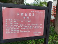 -新安江山水画廊风景区