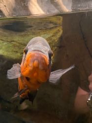 -Zoolung Zoolung动物主题公园(海信广场店)