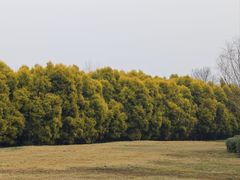 -白鹭湾湿地公园