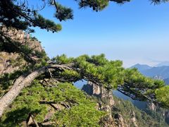 -黄山风景区