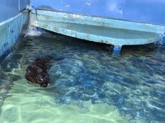 -太平洋海底世界