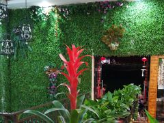 -鲜椒鱼·雅安地标性美食