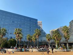 -金沙湖公园