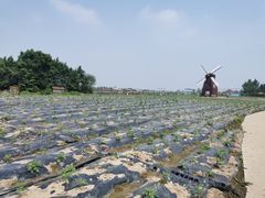 -北纬44度·金珠花海休闲农业旅游景区