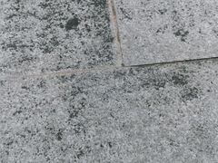 -汕头市潮阳华斯达学校