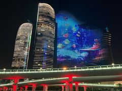 -演武大桥观景平台