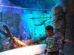 -沈阳海洋探索中心