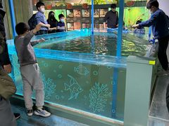 -上海大自然野生昆虫馆(东方明珠·爬宠昆虫探索中心)