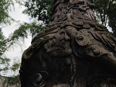 -成都老君山