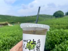 -龙坞茶村
