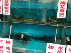 水产区-高坎一品甲鱼庄(两河店)