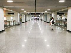 -杨高南路(地铁站)