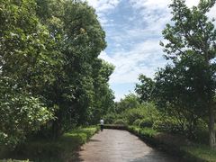 -上海海湾国家森林公园