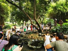 -成都市活水公园