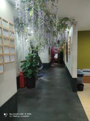 -盘子女人坊生日照·摄影馆(华强店)