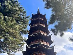 -龙华素斋(龙华路店)