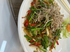 -港升鱼师傅·中山脆肉鲩