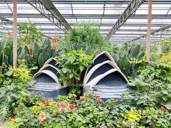 -南宫五洲植物乐园